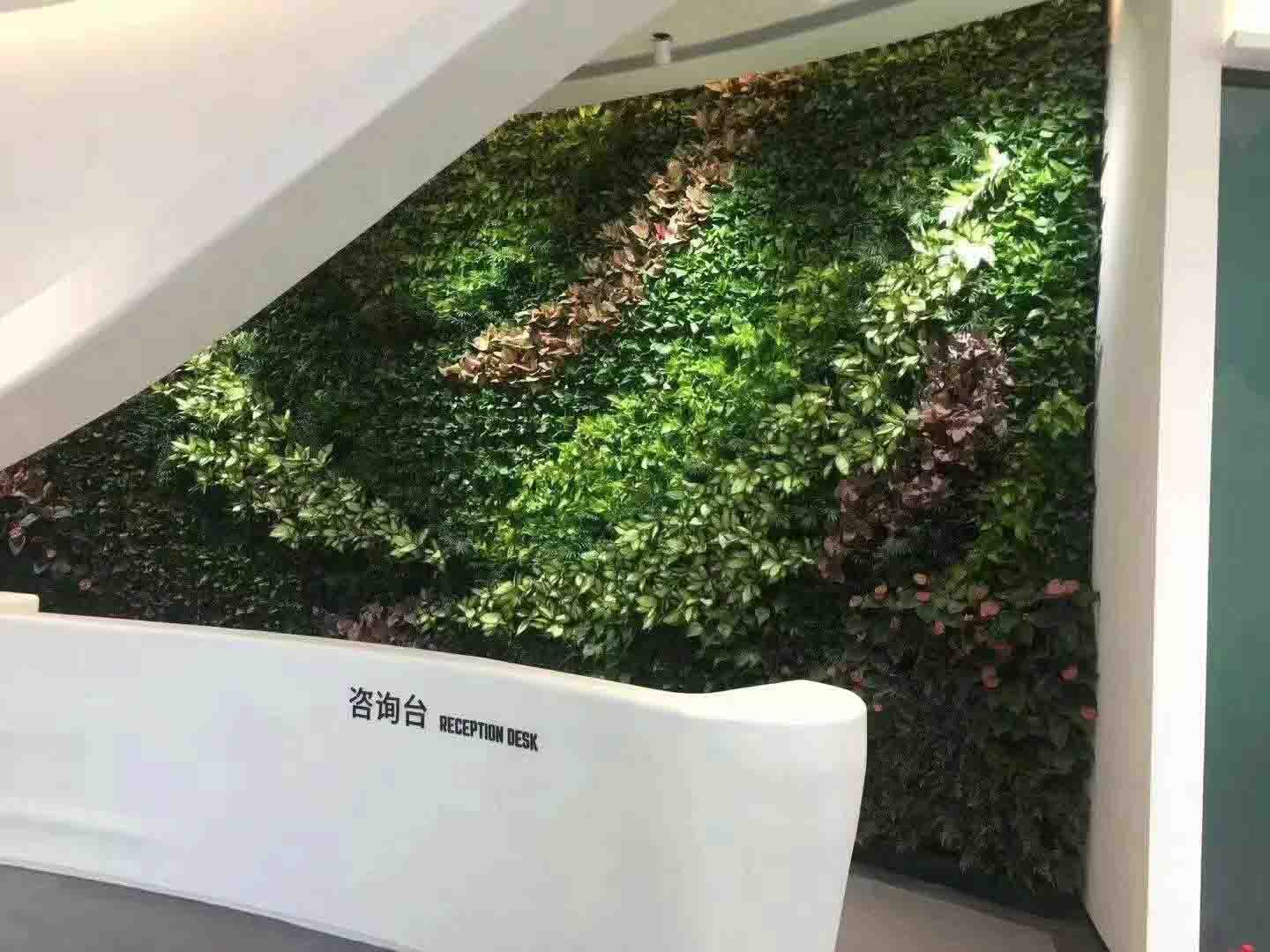 重庆墙壁造景仿真植物